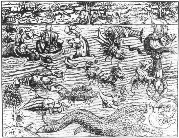 One of the first representations of a shark attack, by the Swede Olaus 